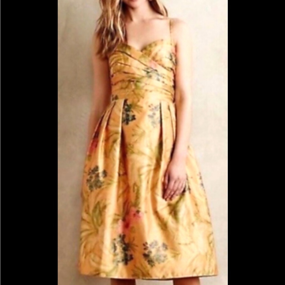 James Coviello for Anthropologie Floral Print Midi Dress